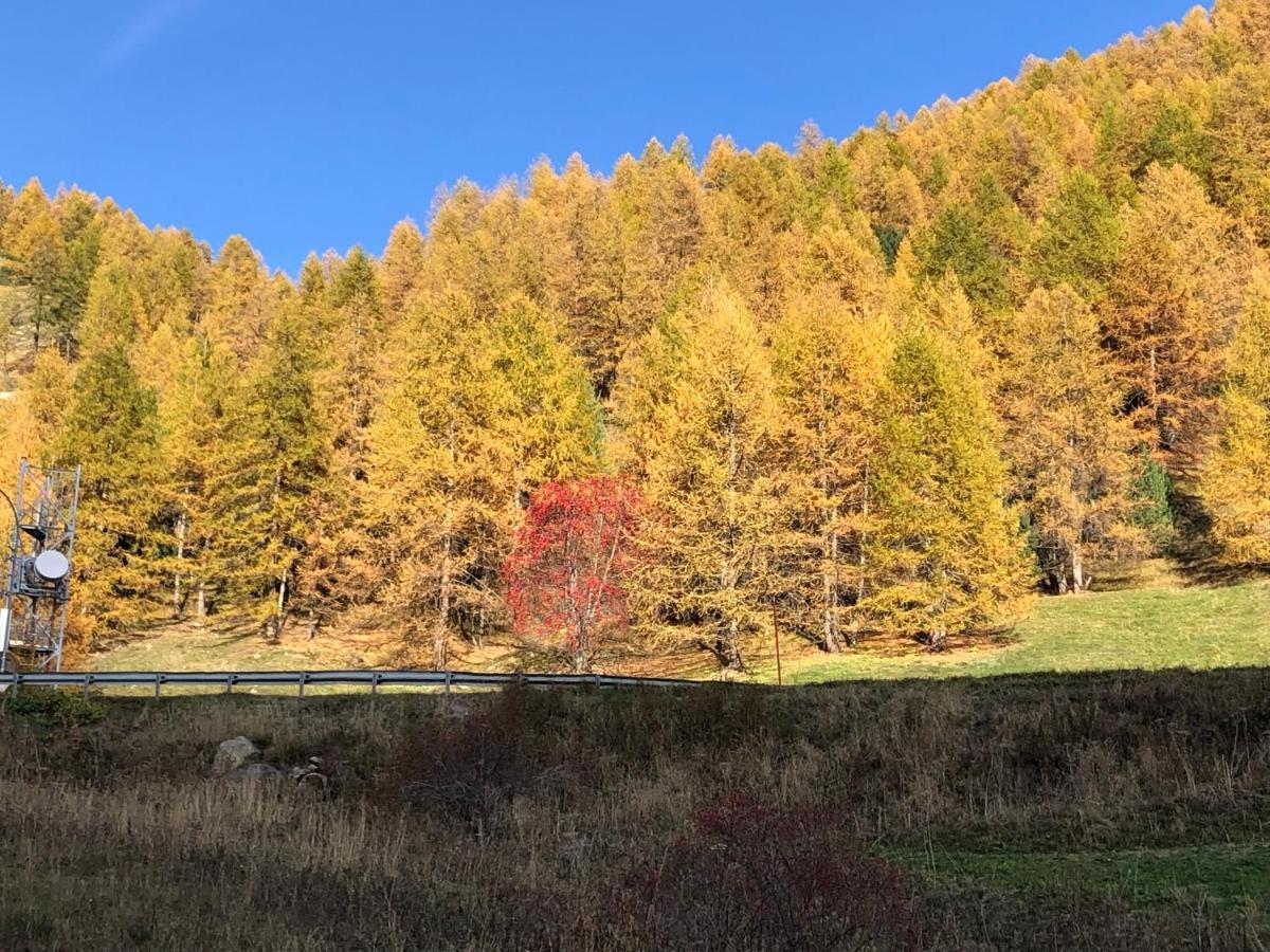 Appartement 6 Couchages La Foux D'拉富 外观 照片